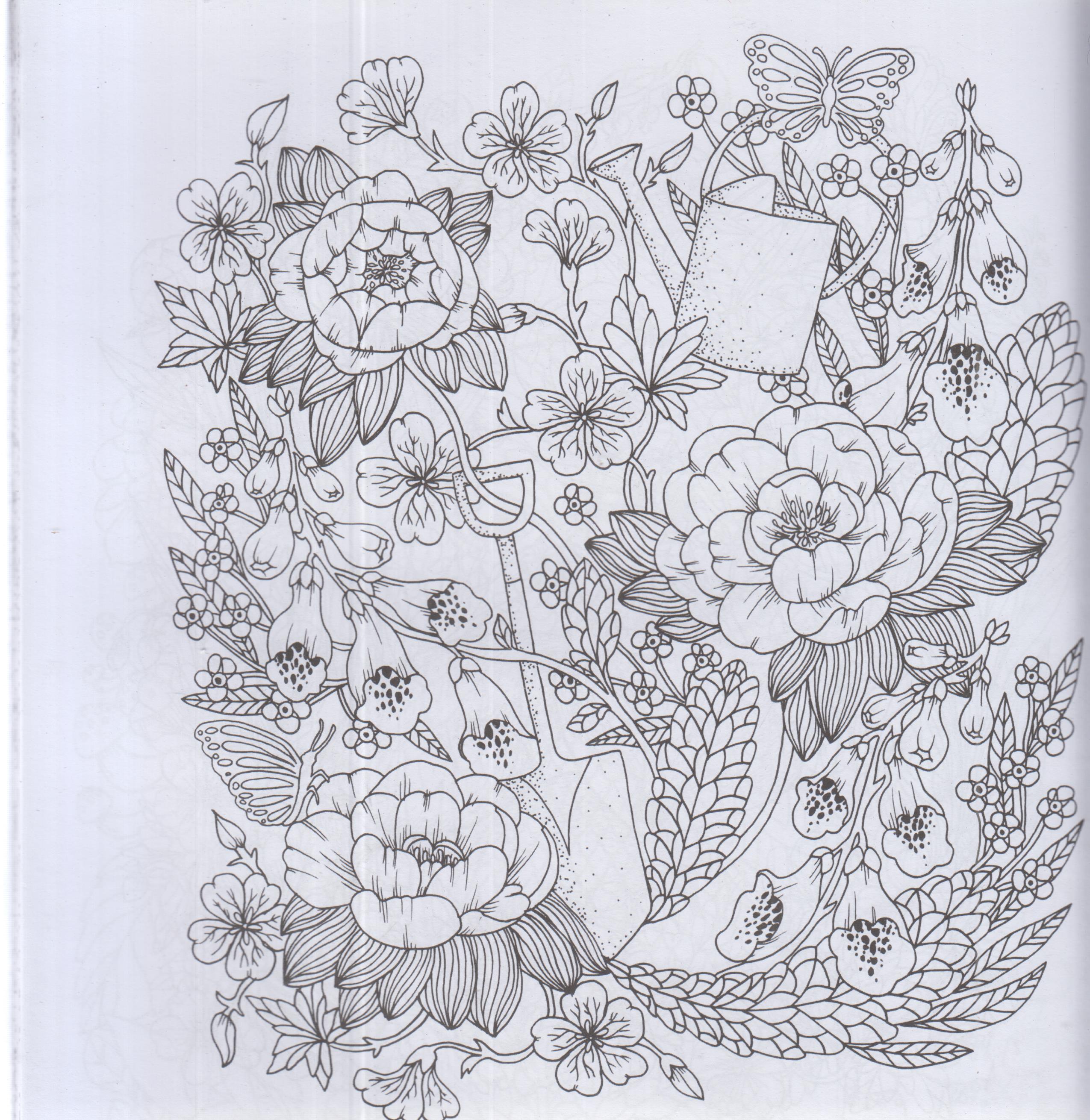 رنگ آمیزی بزرگسال-کوچه باغ